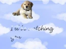 I'm watching you