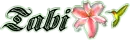 TABI