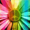 Peacee