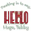 TABBY Peeking Rudy SC