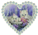 kittens