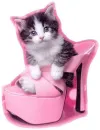 pink shoe
