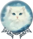kitty