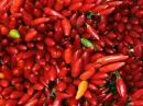 Chili Peppers