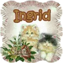ingrid