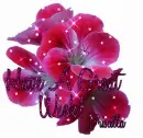 Have A Great Week! Priscilla