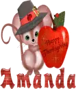 Amanda - tnxgiving mouse