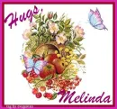 Hugs Melinda (requested)