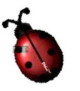 Addyson Lady bug(requested)