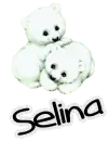 Polar bears Selina