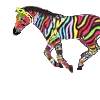 Rainbow Zebra