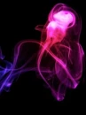 Violet Spiral