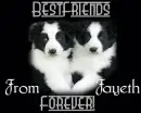 best friends