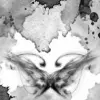 Stained Wings
