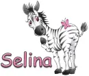 zebra selina