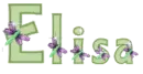 Elisa