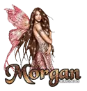 Morgan gold fairy