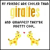 giraffes
