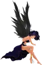 black wings