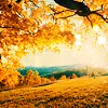 autumn sunset