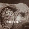 kitty snuggle