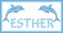 Esther Dolphins