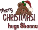 Merry Christmas- hugs Shonna