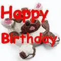 hapi birthhday