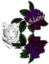 White Tiger with Blue Rose with Name
