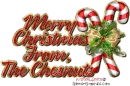 merry christmas from the chesnuts