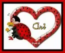Ladybug - Ari