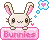 bunny