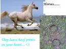 hoof prints
