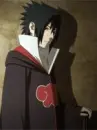 angellysakura