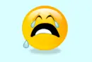 Crying Sad Smiley Face :(