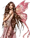 fairy