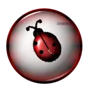 Judy Ladybug