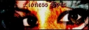 Lioness eyes