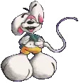 hamster dans