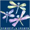Dragon Fly Dreams