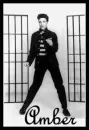 Elvis