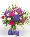 amy