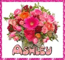 ashley