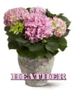 Heather