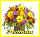 Melinda