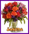 Sandra