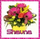 Shauna
