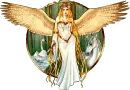 gold wings