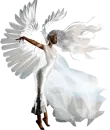 white angel