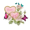 Beautiful pink roses